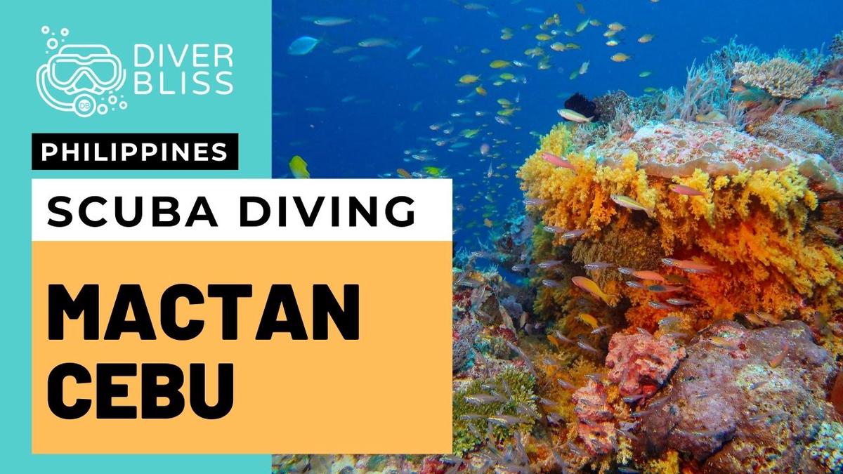'Video thumbnail for Scuba Diving in Mactan Island and Olango Island in Cebu Philippines'